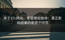 关于17c网站，不显眼但致命：真正影响结果的是这个环节