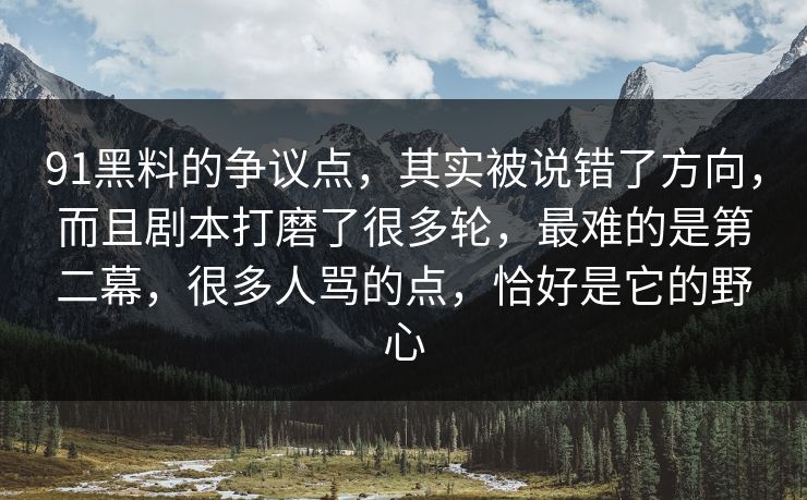 91黑料的争议点，其实被说错了方向，而且剧本打磨了很多轮，最难的是第二幕，很多人骂的点，恰好是它的野心